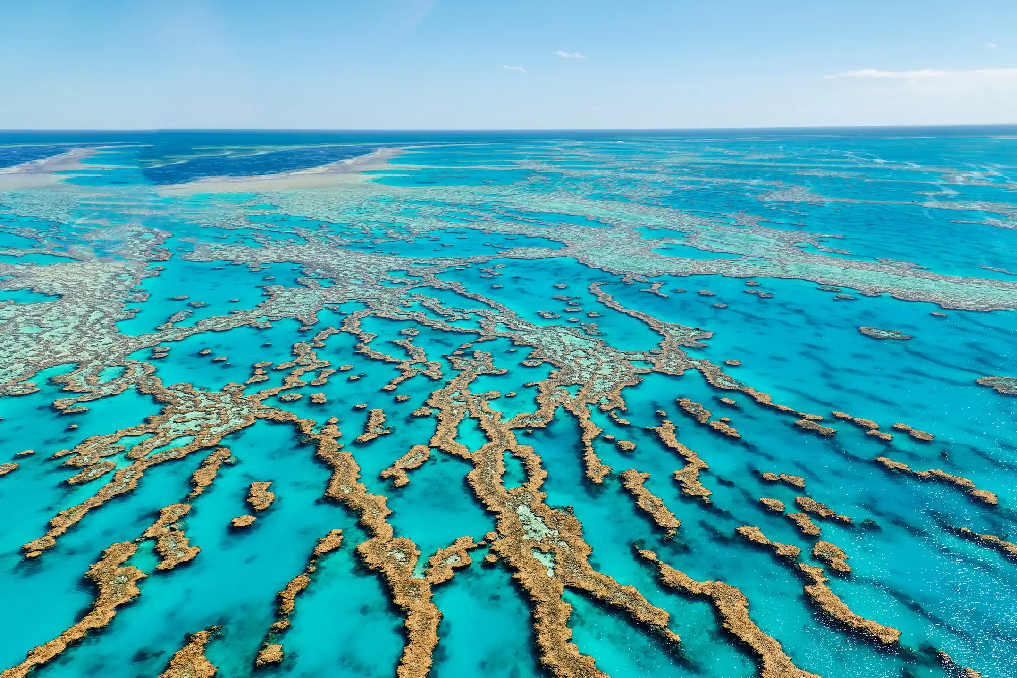 Aerial view of extensive coral formations and turquoise channels across the Great Barrier Reef, Queensland, Australia.