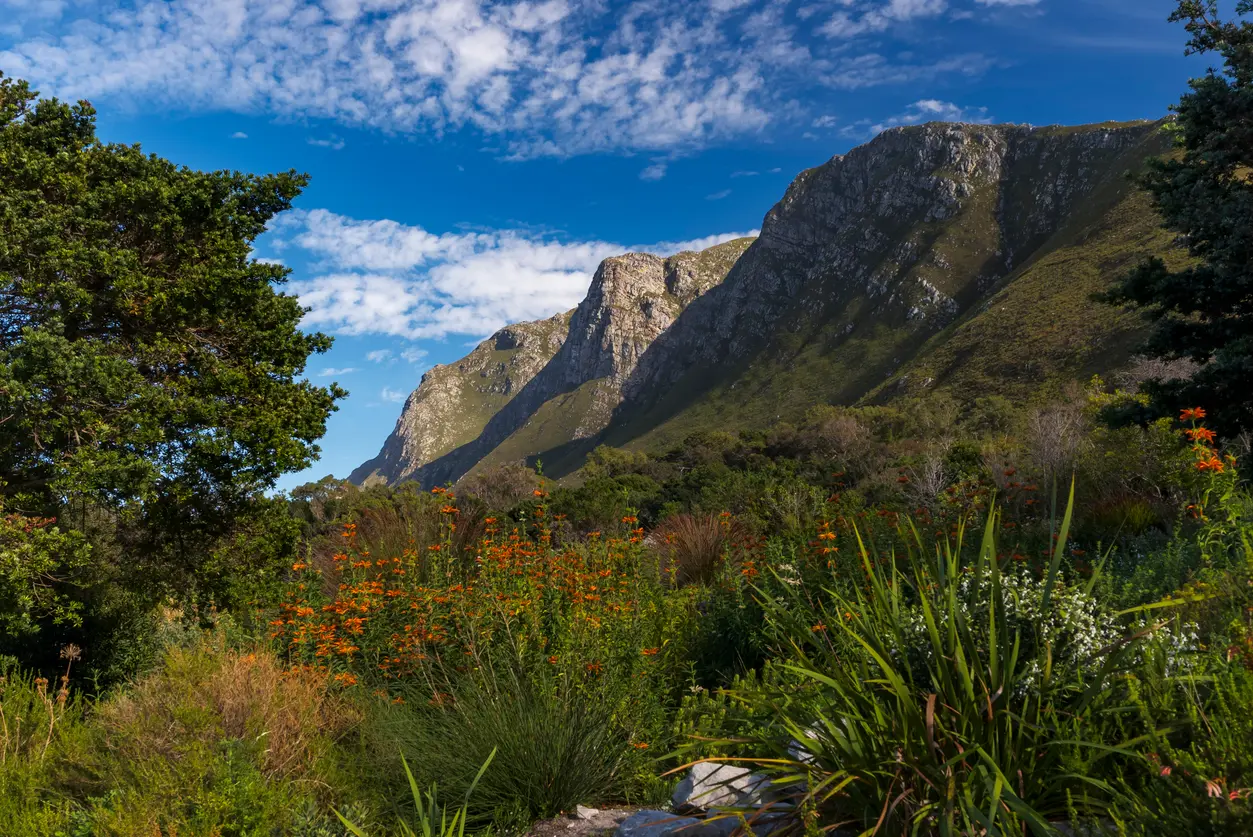 Harold Porter Botanical Garden, Betty’s Bay