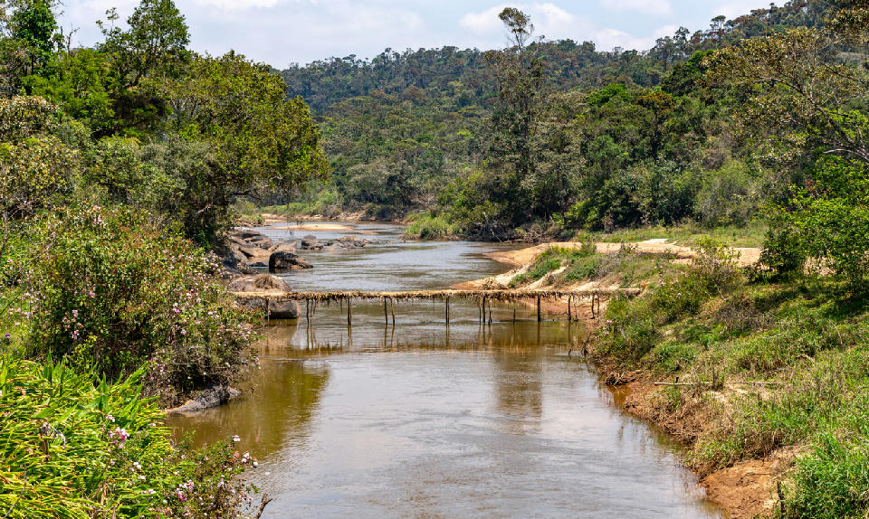 Small wooden footbridge crossing the Ranomafana River within the rainforest landscapes of Ranomafana National Park, Madagascar