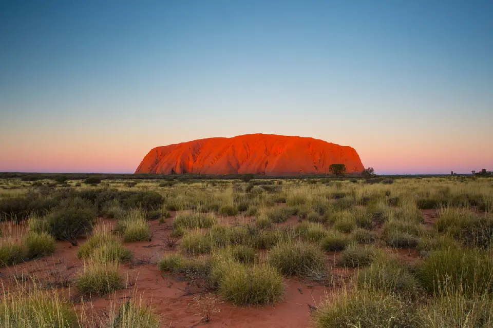 Uluru illuminated by warm evening light above spinifex grassland in Uluru-Kata Tjuta National Park, Australia.