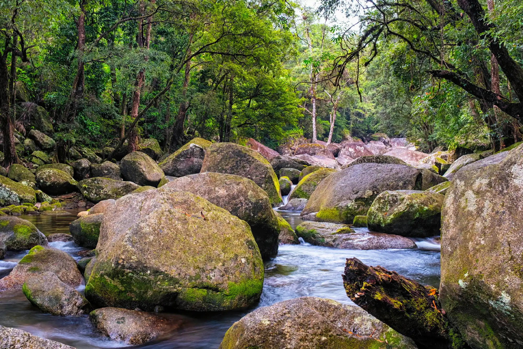 Clear river water winding around large moss-covered granite boulders in a dense green rainforest.