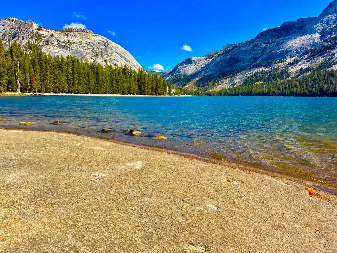 Clear blue water of Tenaya Lake with sandy shore, pine trees, and granite mountains in Yosemite National Park.