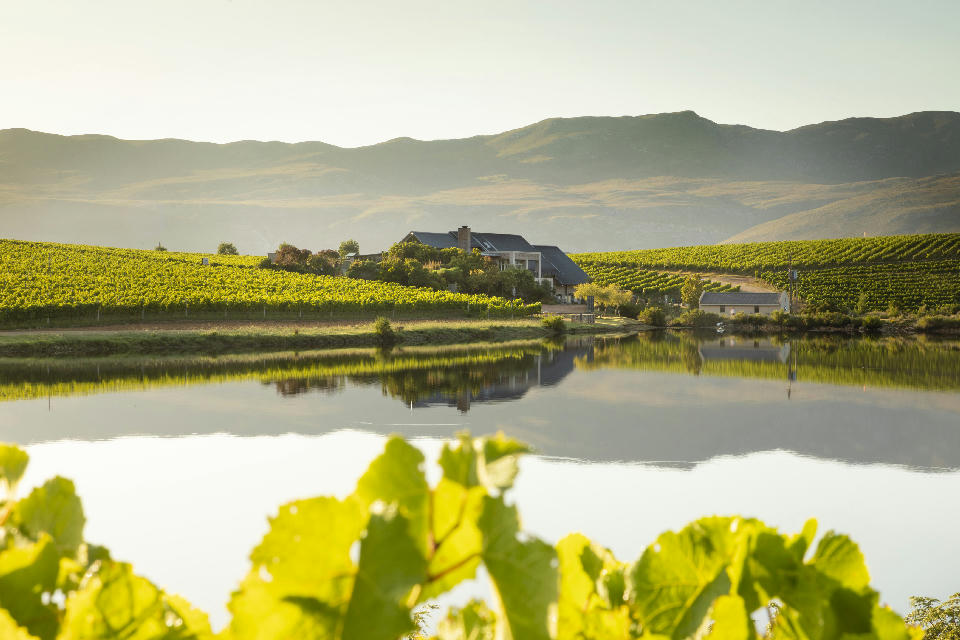 Creation Wines tasting room and vineyards reflected in a pond within the Hemel-en-Aarde Valley wine region near Hermanus, South Africa.