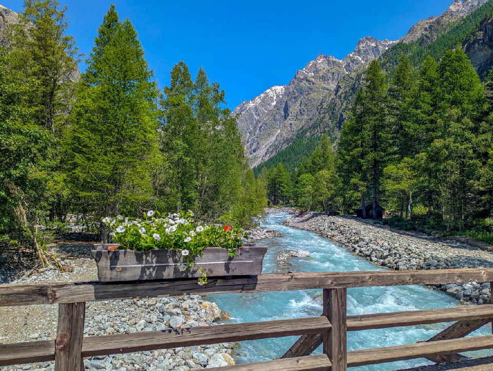 Mountain river and forest valley in Écrins National Park, French Alps