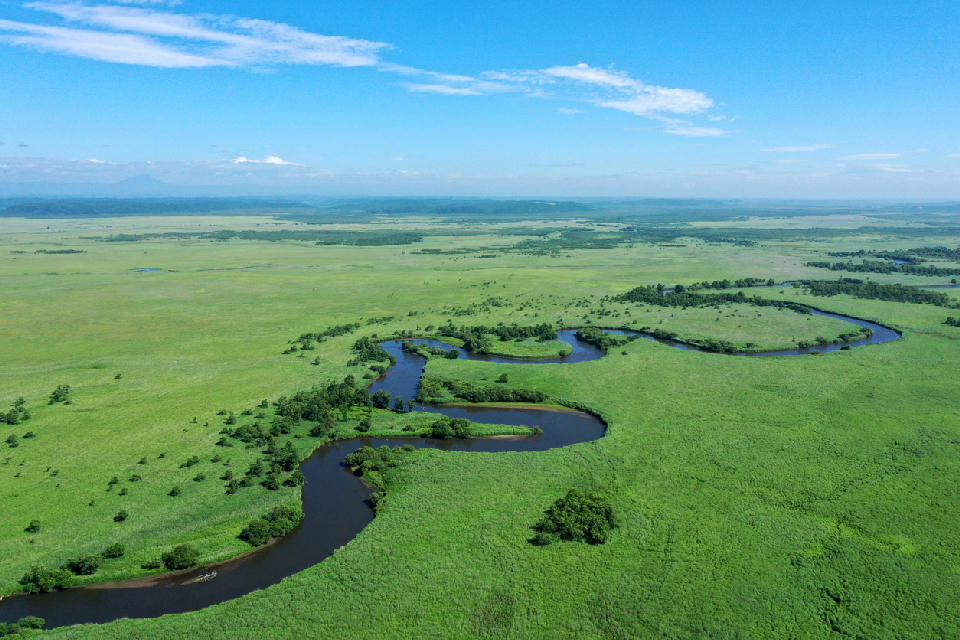 Aerial view of the meandering Kushiro River winding through vast green wetlands in Kushiro Marsh National Park, Hokkaido, Japan.