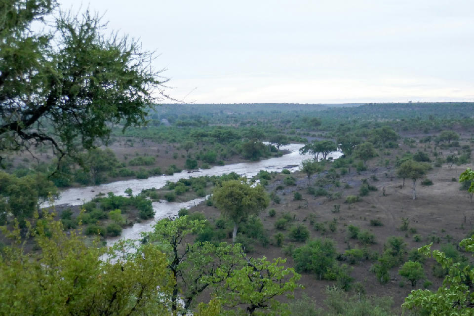 Elevated view of the Limpopo River winding through the bushveld of Botswana’s Tuli Block near the borders with South Africa and Zimbabwe.