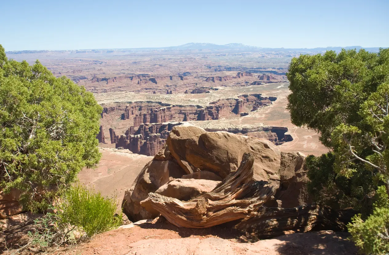 View from Grand View Point across deep canyons, mesas, and White Rim area in Canyonlands National Park Utah