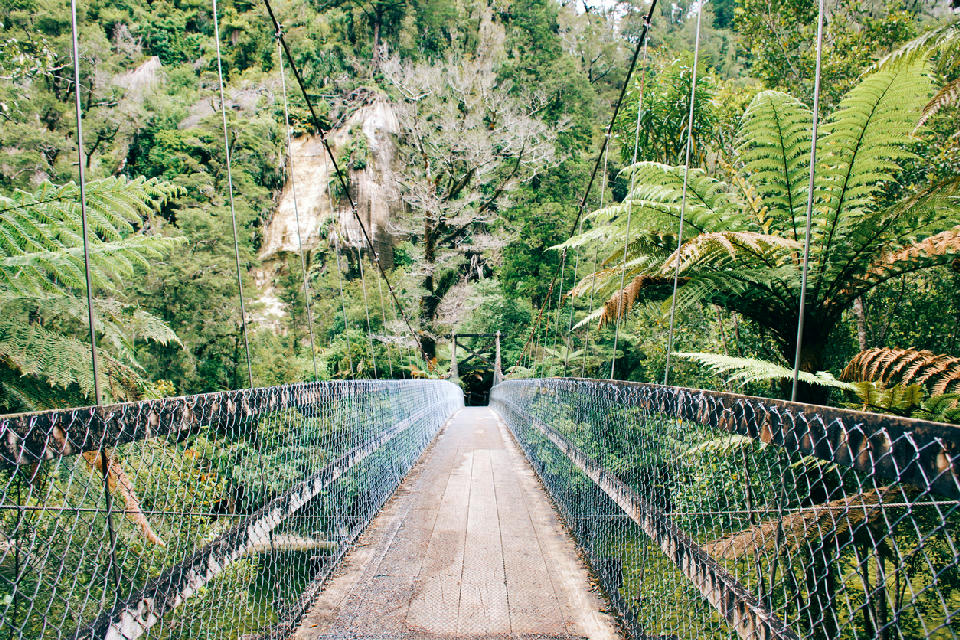 Swing Bridge, Charleston, New Zealand