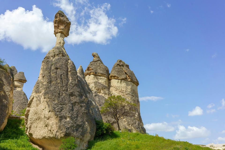 Tall mushroom-shaped fairy chimneys with dark basalt caps at Paşabağ Fairy Chimneys in Cappadocia, Turkey, standing above a grassy hillside beneath a blue sky.