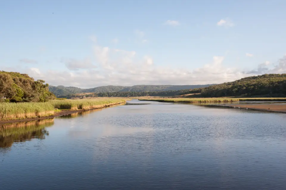 Calm Aire River estuary bordered by wetlands and forested hills in Great Otway National Park, Victoria.