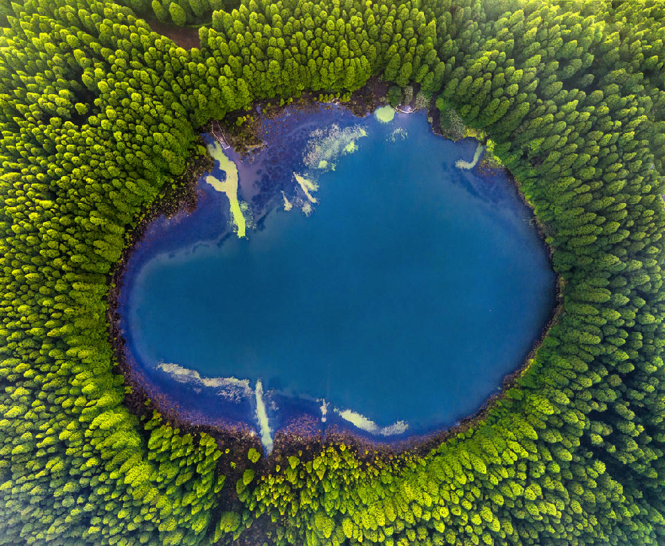 Aerial view of Lagoa do Canário, a deep blue volcanic lake encircled by dense green forest within the Sete Cidades crater on São Miguel Island, Azores.