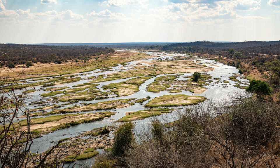 Braided channels of the Olifants River flowing through Kruger National Park, South Africa.