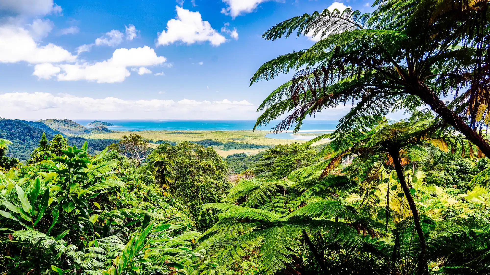 Sunlight illuminates the vibrant green leaves of a tropical rainforest canopy overlooking a distant beach, river mouth, and ocean.