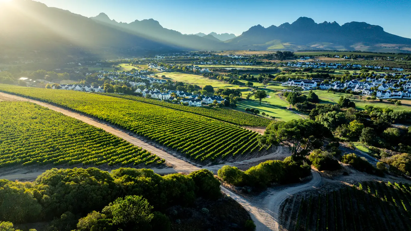 Aerial view of vineyard rows and farmland in the Stellenbosch valley, Cape Winelands, Western Cape, South Africa.