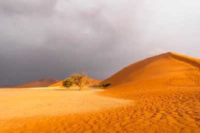 Dark storm clouds above Big Daddy Dune and the Deadvlei basin in Namibia’s Namib Desert, with orange sand illuminated by sunlight.