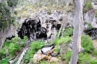 Walkways descending through a sunken karri forest towards the limestone entrance of Lake Cave near Margaret River.