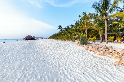 Wide white-sand shoreline lined with palm trees at Kendwa Beach on Zanzibar's north coast, Tanzania.