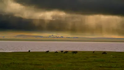 Storm clouds over Lake Magadi with grazing wildebeest on the Ngorongoro Crater floor in Tanzania's Ngorongoro Conservation Area.