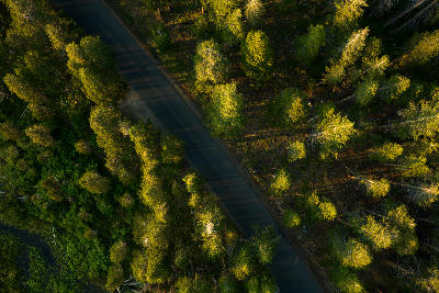forest and road above lake mary mammoth lakes basin eastern sierra nevada california aerial