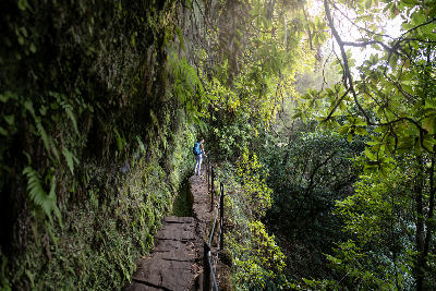 Backpacker hiking beside the levada channel on the cliffside Levada do Caldeirão Verde trail in Madeira, Portugal.