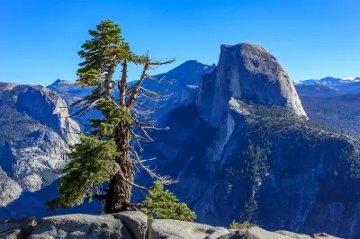 Half Dome seen from Glacier Point with granite foreground and pine tree
