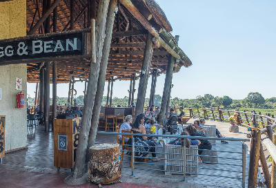 Restaurant terrace and viewing deck at Lower Sabie Rest Camp with visitors overlooking the Sabie River in Kruger National Park.
