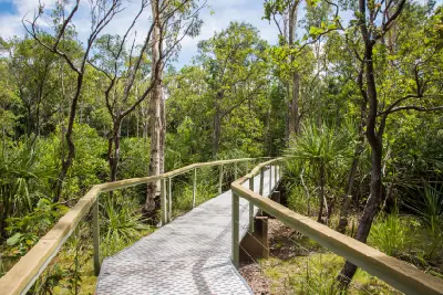 Raised metal boardwalk with timber handrails winding through green woodland and pandanus vegetation in Litchfield National Park, Northern Territory, Australia.