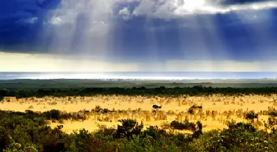 Limestone pinnacles rise from golden dunes beneath storm clouds, with the Indian Ocean visible beyond.