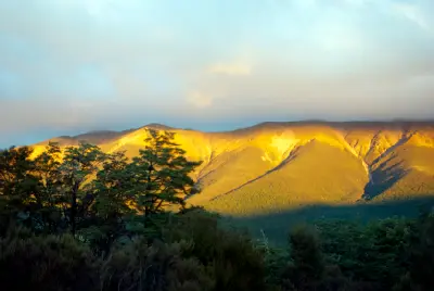 Golden evening light on the St Arnaud Range in Nelson Lakes National Park, New Zealand.