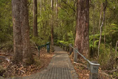 Formed walking track and sign to the lower lookout through tall forest at Erskine Falls near Lorne, Victoria.