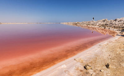 Pink salt pond bordered by white crystallised salt banks at the Walvis Bay Salt Works, Namibia, reflecting a clear blue sky with a lone person walking along the shoreline.