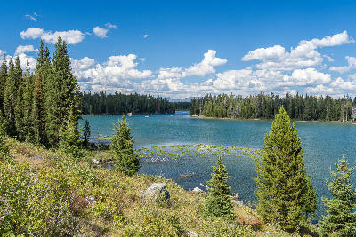 Wide view of String Lake surrounded by pine forest under a blue sky with clouds in Grand Teton National Park, Wyoming.