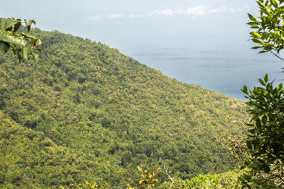 Panoramic view of the forested hills of Gombe Stream National Park overlooking Lake Tanganyika in western Tanzania.