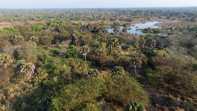 Aerial view of the Rufiji River floodplains in Nyerere National Park, Tanzania.
