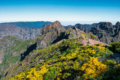 From Pico do Arieiro, the Vereda do Areeiro trail follows exposed ridgelines across Madeira’s central mountains, revealing sharp peaks, deep ravines, and high-altitude terrain shaped by volcanic geology.