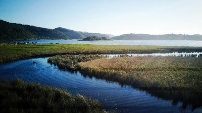 Aerial view of a kayaker paddling through the winding Serpentine River surrounded by reedbeds and wetlands near Island Lake in Wilderness, South Africa.