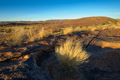 Granite surface and desert grasses on Moon Rock in Augrabies Falls National Park, Northern Cape, South Africa.