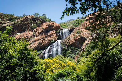 Witpoortjie Waterfall flowing through red quartzite cliffs and indigenous vegetation in Walter Sisulu National Botanical Garden, Roodepoort.