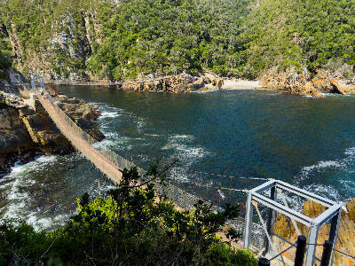 Suspension bridge spanning Storms River Mouth between rocky cliffs and indigenous forest in Tsitsikamma National Park, South Africa.