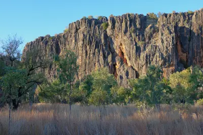 Ancient dark limestone cliffs rise above eucalyptus woodland at Bandilngan (Windjana Gorge) in the West Kimberley.