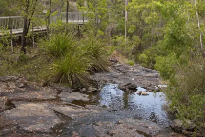 Lookout above Beedelup Brook near the top of Beedelup Falls in Western Australia.