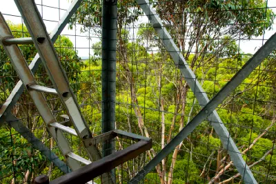 Metal climbing structure and forest canopy high on Gloucester Tree near Pemberton, Western Australia.