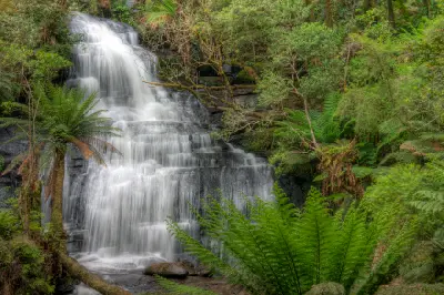 Triplet Falls cascading over tiered rock surrounded by tree ferns in Great Otway National Park, Victoria.