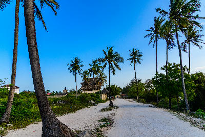 Palm-lined sandy road passing traditional buildings in Matemwe village, Zanzibar, Tanzania.