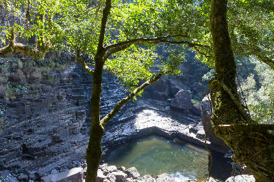 Sunlit indigenous forest, layered rock formations and clear stream pools on the gorge floor below the Graskop Gorge Lift in Mpumalanga, South Africa.