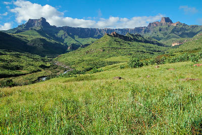 The Amphitheatre escarpment overlooking the Tugela River and green valleys in Royal Natal National Park, Drakensberg, South Africa.