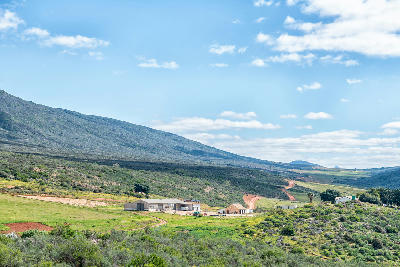 Farm buildings surrounded by agricultural landscapes and Cederberg foothills near Clanwilliam in South Africa.