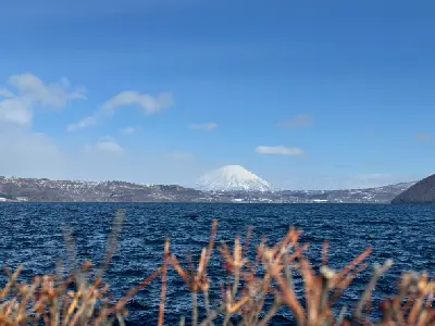 Snow-capped Mount Yotei rising in the distance beyond Lake Toya, with blurred foreground branches framing the water.