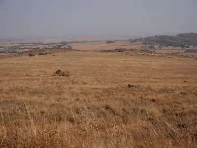Open Highveld grassland stretching across the rolling plains of Suikerbosrand Nature Reserve in Gauteng.