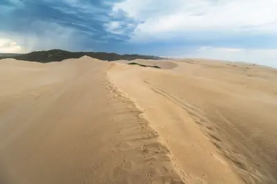 Expansive sand dunes of the Alexandria Dune Fields under dramatic storm clouds in the Woody Cape area of Addo Elephant National Park, Eastern Cape, South Africa.